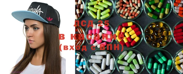 эйфоретик Белокуриха