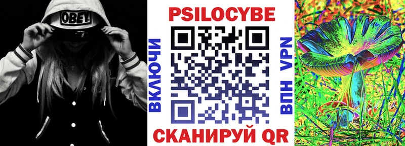 закладка  Калининец  Псилоцибиновые грибы мицелий 